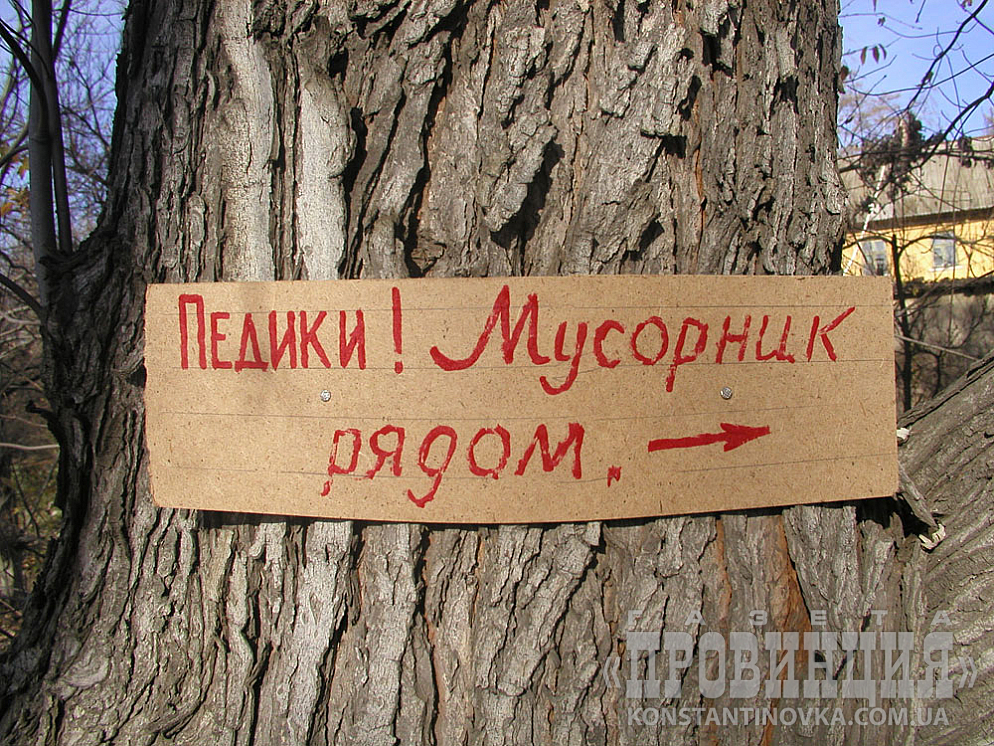 Экологическое сознание граждан растет 