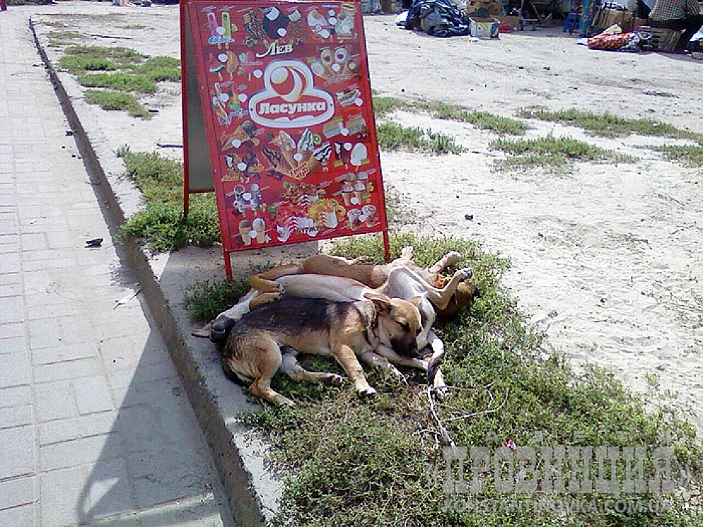 Дневной сон