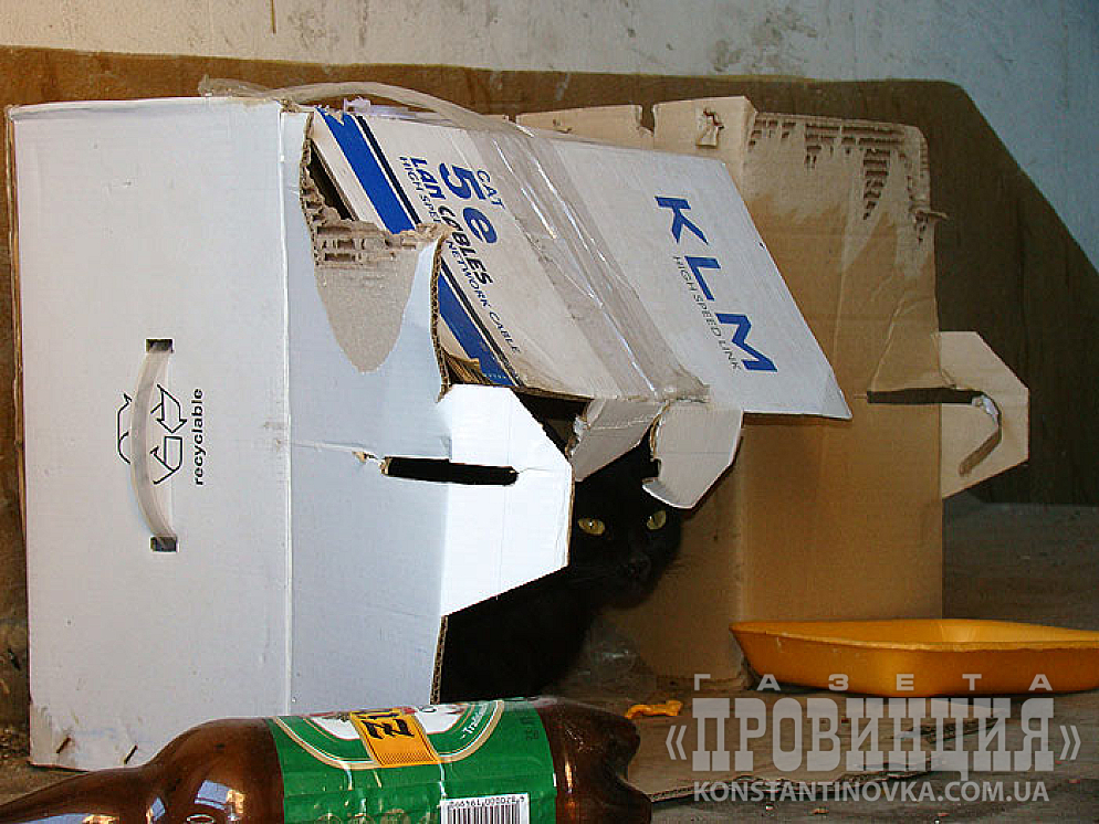 Здравствуй дорогая редакция!