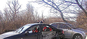 Одним махом пятерых побивахом: как под Предтечено из-за одного дерева пять автомобилей попали в ДТП