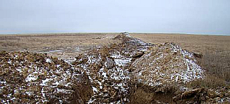 Водовод под Ижевкой съел долгоносик?