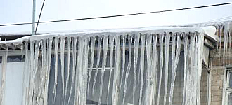 Исход бурулек на наши головы