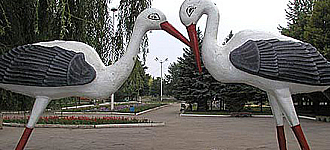 «Ценить каждый миг жизни»