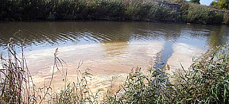 Торец покрылся пятнами