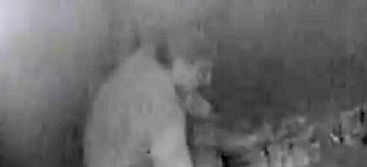 Воровство в объективе