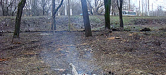 «Зеленые разборки» в парке Якусевича