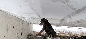 Дружка спасали всем поселком