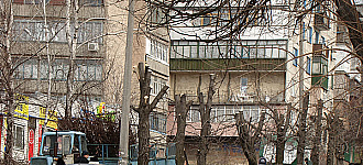Режут деревья и наши нервы