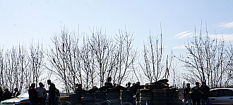 Донецкая республика обблок-постилась