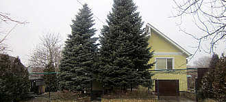 Дом гауляйтера