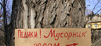 Экологическое сознание граждан растет 