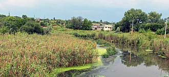"Грязь несет с конца в конец..."
