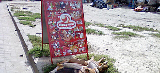 Дневной сон