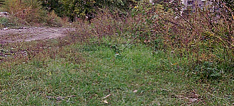 «Райский» уголок