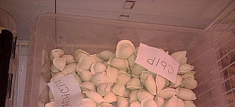 Чем торгуют наши супермаркеты?