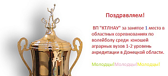 Волейбол в Константиновке