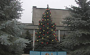 Главная зеленая красавица нашего города