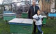 Пчёлы в радость