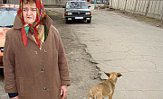 Собак уничтожайтен