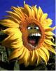 Profile picture for user Katrin