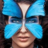 Profile picture for user Vavlade