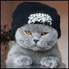Profile picture for user Soldier1